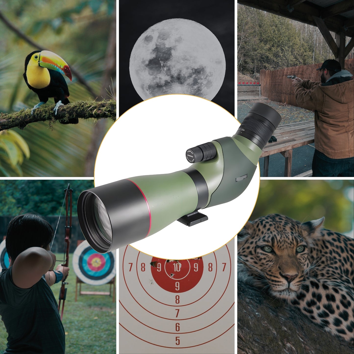 McJ 20-60x82 Spotting Scope Setup for Birdwatching in the Field